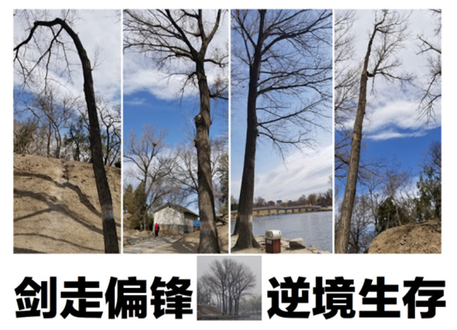 中国人居环境设计学年奖（深度新闻稿）(1)1657.jpg