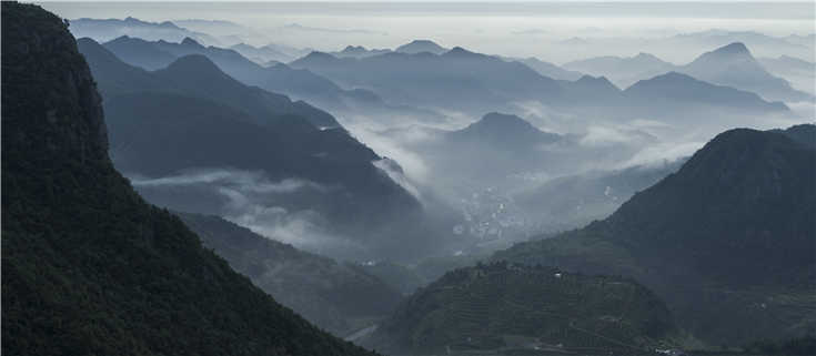 1555000154113565.jpg 1.jpg