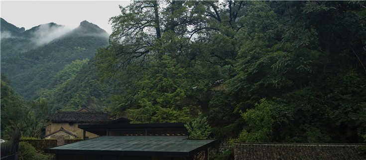 1555000177848910.jpg