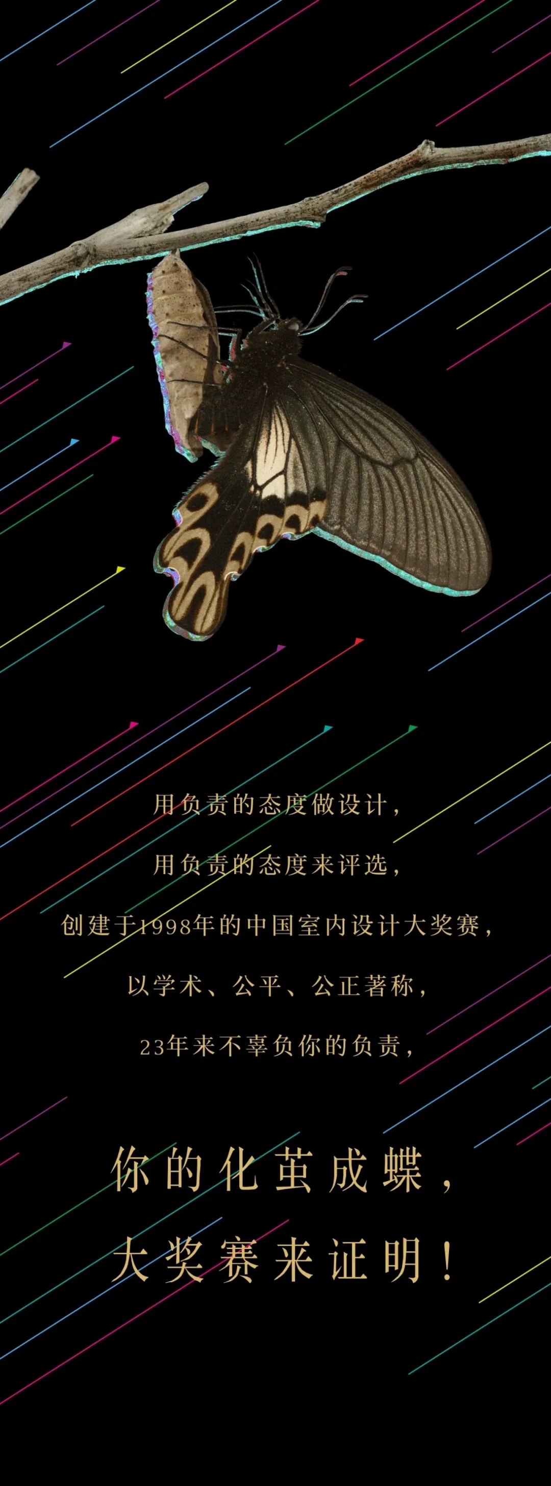 1594052733681926.jpg